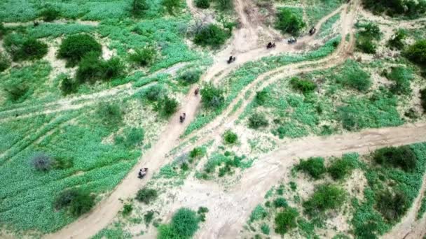 Motocicletas Que Pasan Por Caminos Sinuosos Parque Conservación Ngorongoro Tanzania — Vídeo de stock