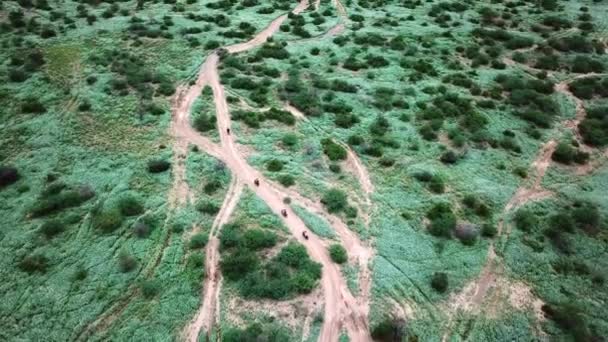 Safari Caravan Motorcycles Jeep Traveling Kenyan Landscape Aerial Panoramic — Stock Video