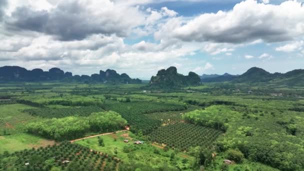 Amphoe Mueang Krabi Tayland Yakınlarındaki Tarım Çiftliği Üzerinde Uçuyor Hava — Stok video