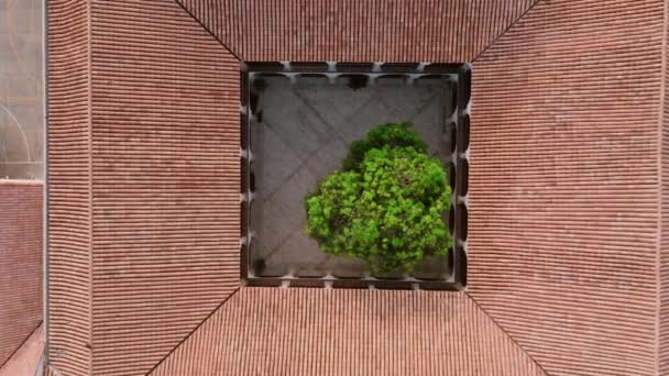 哥伦比亚卡塔赫纳艺术和科学研究所内广场的自上而下的空中空间 — 图库视频影像