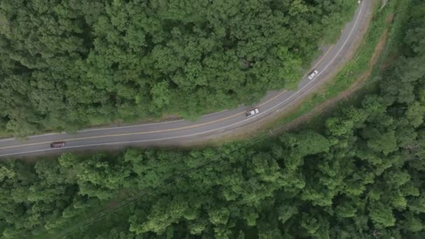 从上到下的空中放大了Virigina南部山区一条弯弯曲曲的公路的镜头 — 图库视频影像