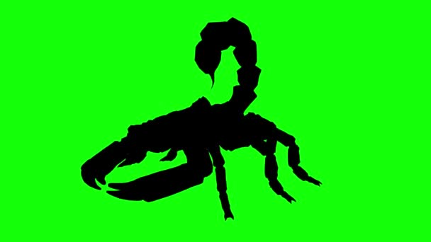 Silueta Fantasy Stvoření Monstrum Škorpión Kráčející Zelené Obrazovce Pohled Perspektivy — Stock video