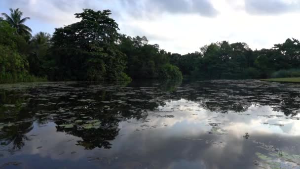 Όμορφη Λίμνη Δέντρα Και Σύννεφα Αντανάκλαση Ήρεμα Νερά Ειρηνική Πρωινή — Αρχείο Βίντεο