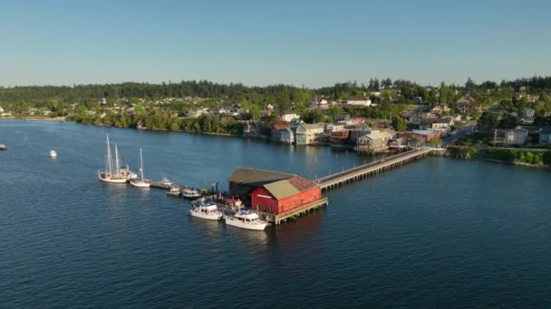 Luchtfoto Een Baan Historische Werf Van Coupeville Thuisbasis Van Lokale — Stockvideo