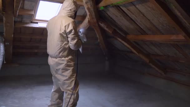 Arbeiter Psa Anzug Sprüht Insektizid Auf Holz Das Von Holzfressenden — Stockvideo