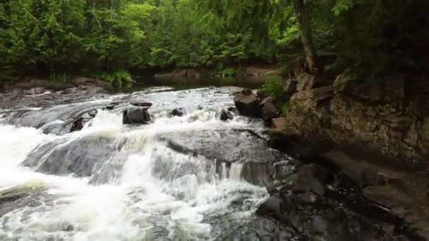 Stromschnellen Des Kanadischen Flusses Zwischen Kiefernwäldern — Stockvideo
