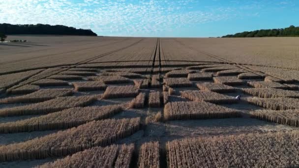 Detalhes Círculo Cultura Cornfield Perto Micheldever Station Inglaterra Tiro Drone — Vídeo de Stock