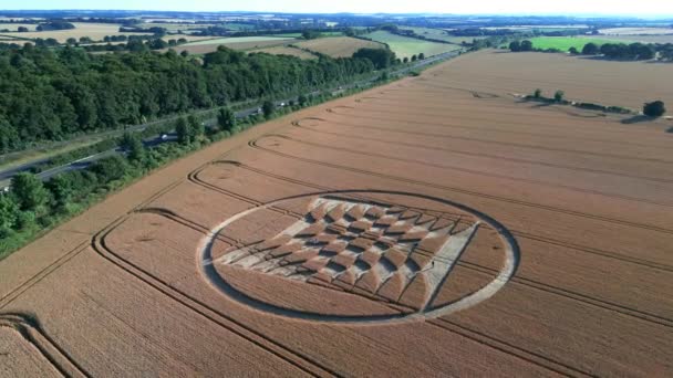 Crop Circles Tractor Tracks Agricultural Field Summer Arial Descend — Stock Video