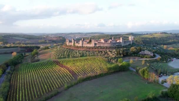 Middeleeuwse Fort Stad Heuvel Met Wijngaard Aan Voorkant Cultureel Toscane — Stockvideo