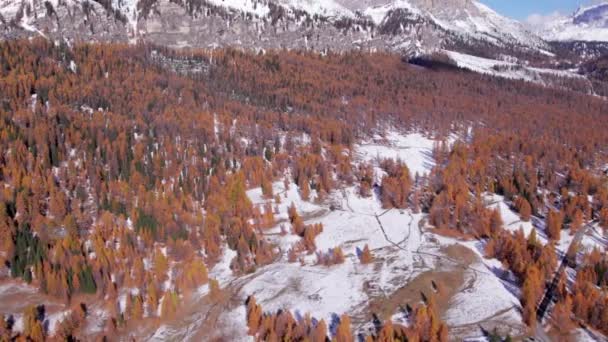 Changement Saison Automne Hiver Avec Neige Légère Sur Les Montagnes — Video