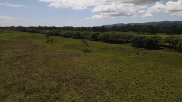 Letecký Snímek Venkovské Krajiny Jižním Pacifiku Kostariky — Stock video