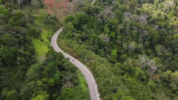 コスタリカの熱帯雨林を通る車の空中ビュー — ストック動画