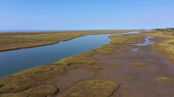 Widok Lotu Ptaka Bagna Solne Rzekę Ria Formosa Tavira Algarve — Wideo stockowe