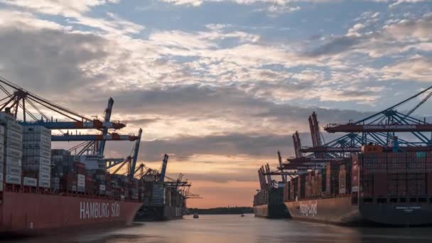 Sonnenuntergang Hamburger Hafen Mit Containerschiffen Deutschland — Stockvideo