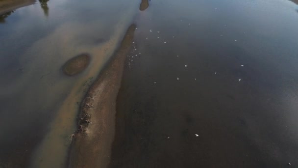 Drone Aéreo Atirou Sobre Lago Numa Noite Ensolarada Céu Está — Vídeo de Stock