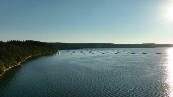 Steigende Luftaufnahme Über Der Penn Cove Muschelfarm Der Nähe Von — Stockvideo