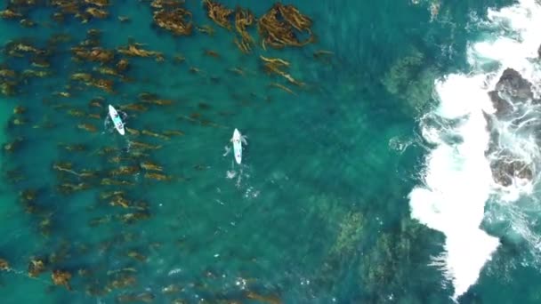Aerial View Tracking Kajakers Laguna Beach Kalifornia — Wideo stockowe