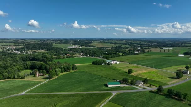 Aéreo Verão Cor Verde Campos Terras Agrícolas Pasto Vista Aérea — Vídeo de Stock