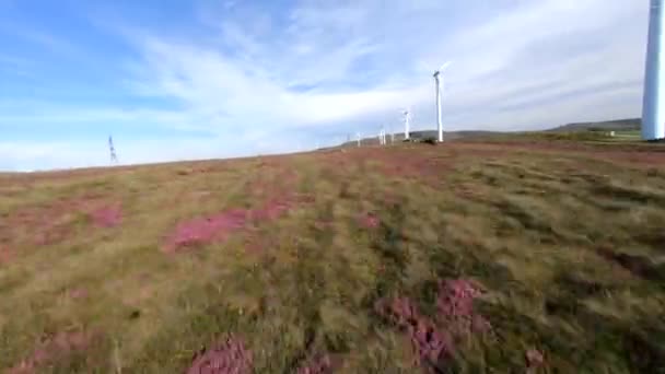 Szélturbinák Sora Sunny Windy Hilltop Fast Fpv Drone View — Stock videók