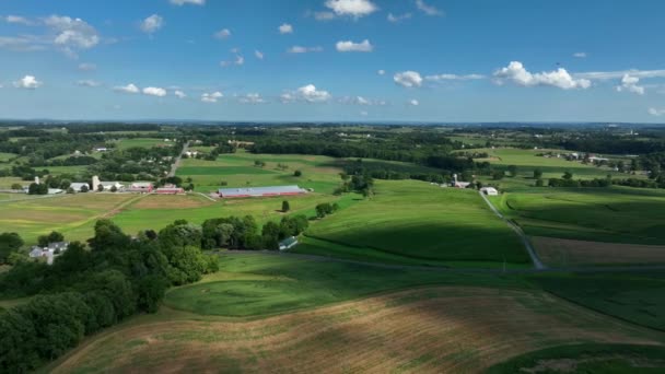 Felder Und Sanfte Hügel Ackerland Lancaster County Pennsylvania Antenne Schatten — Stockvideo