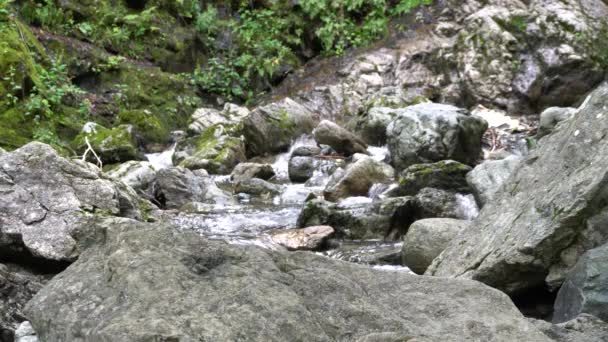 Een Charmante Waterstroom Wordt Omgeven Door Prachtige Rotsen Een Berg — Stockvideo