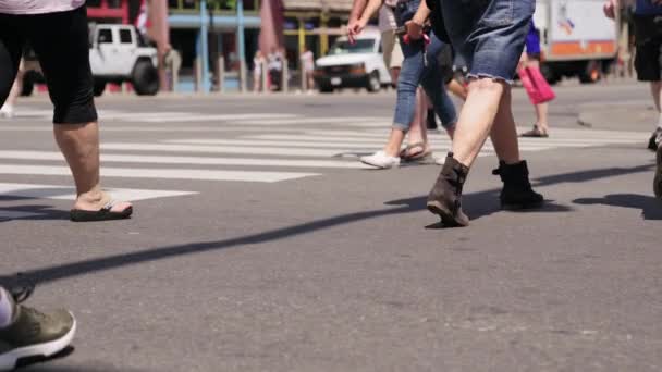 Los Peatones Están Caminando Por Paso Peatonal Secuencia Video Cámara — Vídeo de stock