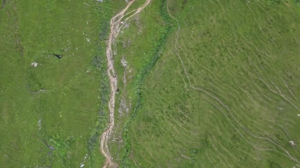 Drone Ovanifrån Några Naturliga Grusväg Schweiziska Alperna Gröna Ängar Obwalden — Stockvideo