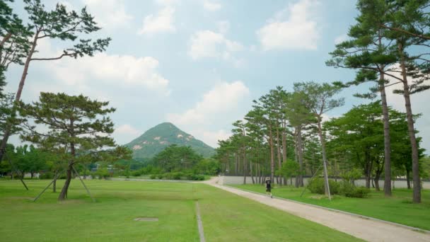Het Gyeongbokgung Palace Park Onherkenbare Toerist Loopt Een Pad Door — Stockvideo