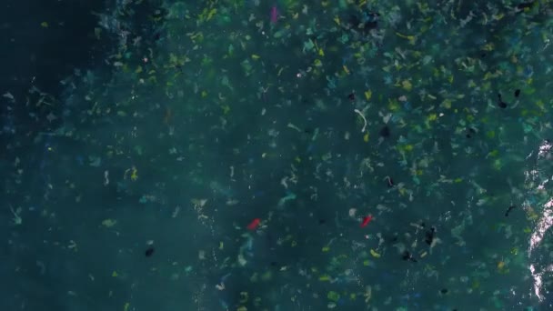 Śmieci Pływające Powierzchni Oceanu Aerial Drone Shot Patrząc Dół Góry — Wideo stockowe