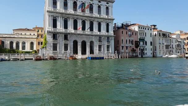Veneza Gran Canal Slomo Building Taxa Quadros Duração 1920 1080 — Vídeo de Stock
