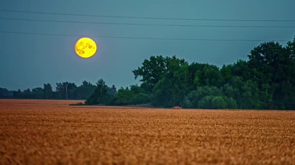 Une Superlune Lève Sur Les Terres Agricoles Dans Campagne Laps — Video