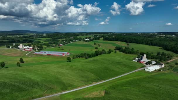 Rolling Wzgórza Zieleni Wiejskiej Lecie Widok Lotu Ptaka Lancaster County — Wideo stockowe