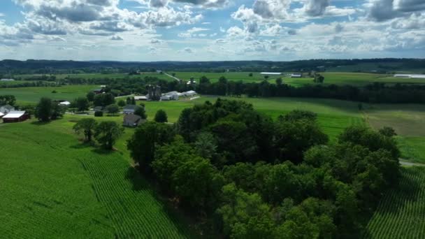 Ladang Pertanian Pedesaan Tema Pertanian Dan Pertanian Warna Hijau Pada — Stok Video