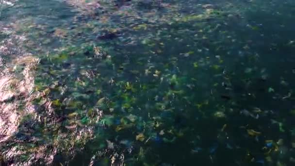 Цветные Пластиковые Одноразовые Пакеты Плавающие Поверхности Океана Концепция Загрязнения Моря — стоковое видео