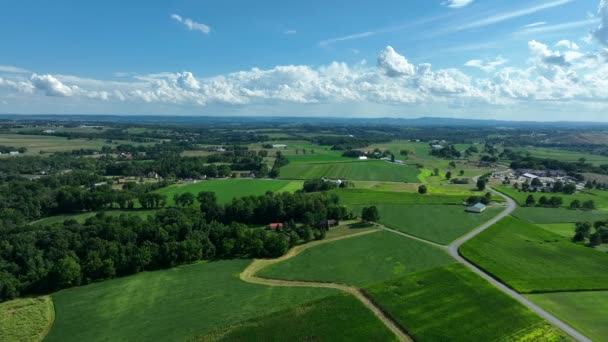 Erstaunliche Luftaufnahme Von Grünen Farmfeldern Ländlichen Amerika Sanfte Hügel Während — Stockvideo