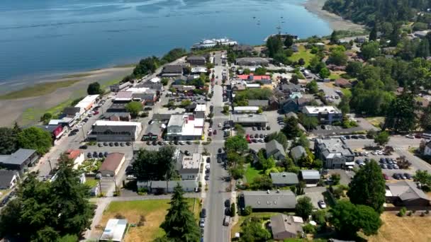 Aerial View Main Street Amenities Cutting Langley Washington — Stock Video