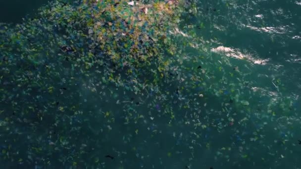 Avião Revelar Sacos Plástico Poluído Flutuando Superfície Oceano Danos Ambientais — Vídeo de Stock