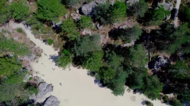 Boven Beneden Uitzicht Bomen Zand Rotsachtige Gebieden Zonder Mensen — Stockvideo