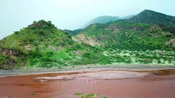 Krásná Krajina Jezera Natron Turisty Plavání Vodě Tanzanii Letecké Drone — Stock video
