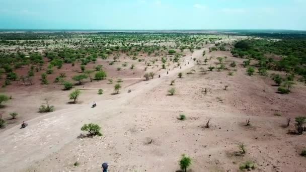 Vista Panorámica Los Alrededores Naturaleza Cerca Del Lago Magadi Con — Vídeo de stock