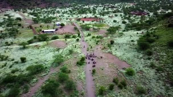 Traveling Kenya Lake Magadi Motorcycles Motorcycle Tours East Africa Aerial — Stock Video