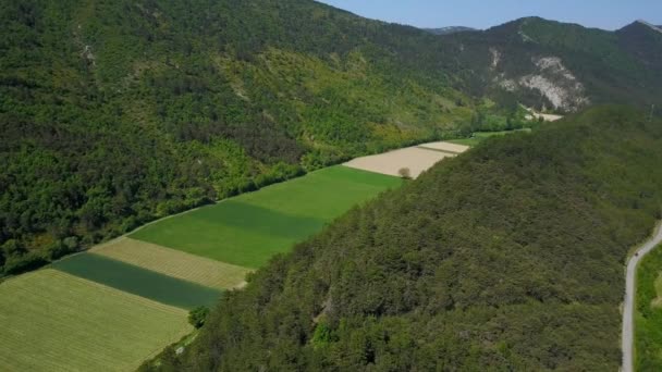 Nuances Forêt Verte Luxuriante Champ Cultivé Dans Une Campagne Aérien — Video