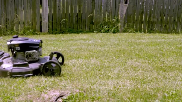 Vista Angolo Basso Maschio Afroamericano Con Tosaerba Erba Verde Giardino — Video Stock