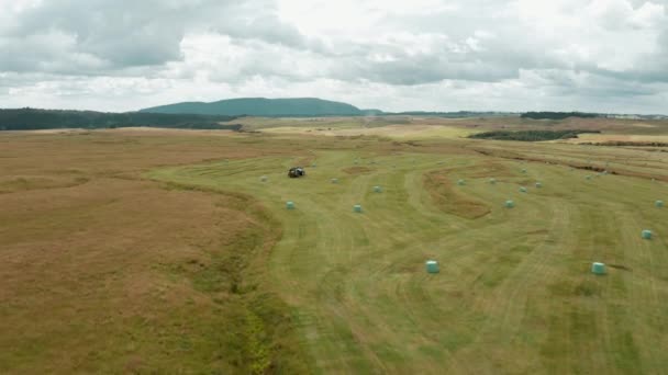 Feld Voll Von Runden Heuballen Mit Traktormaschine Zur Heuballenherstellung Antenne — Stockvideo