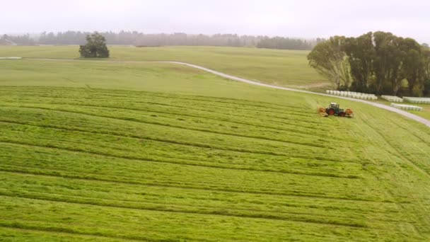 Tractor Mowing Lush Green Farm Field Creating Hay Cattle Food — Stock Video