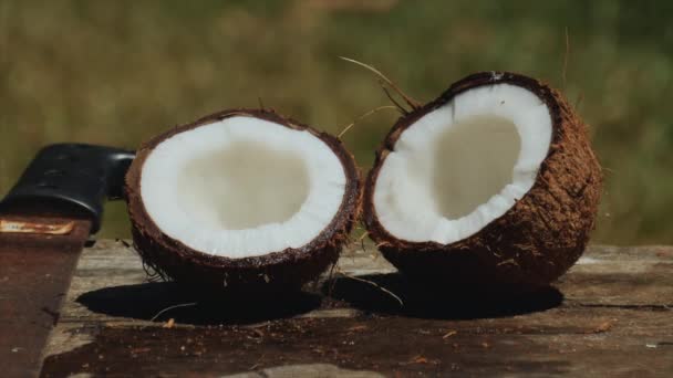 Fresh Juicy Coconut Split Half Using Machete Zoom Out Reveal — Stock Video