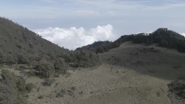 Lawu Mountain Central Java Indonesia — Stock video