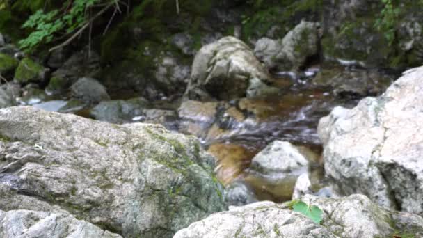 Calmness River Water Bring Joy Meditation Rocks Nearby — Stock Video