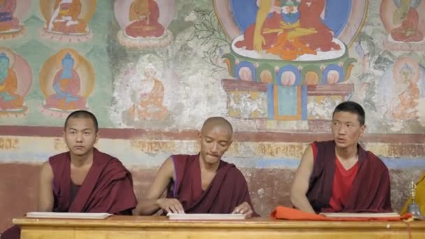 Grupo Jóvenes Monjes Durante Ritual Oración Matutino Monasterio Thiksey Ladakh — Vídeo de stock