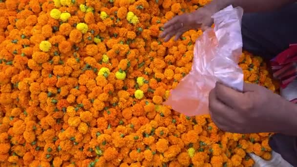 Toplanan Kadife Çiçekleri Satış Için Pazara Getirilir — Stok video